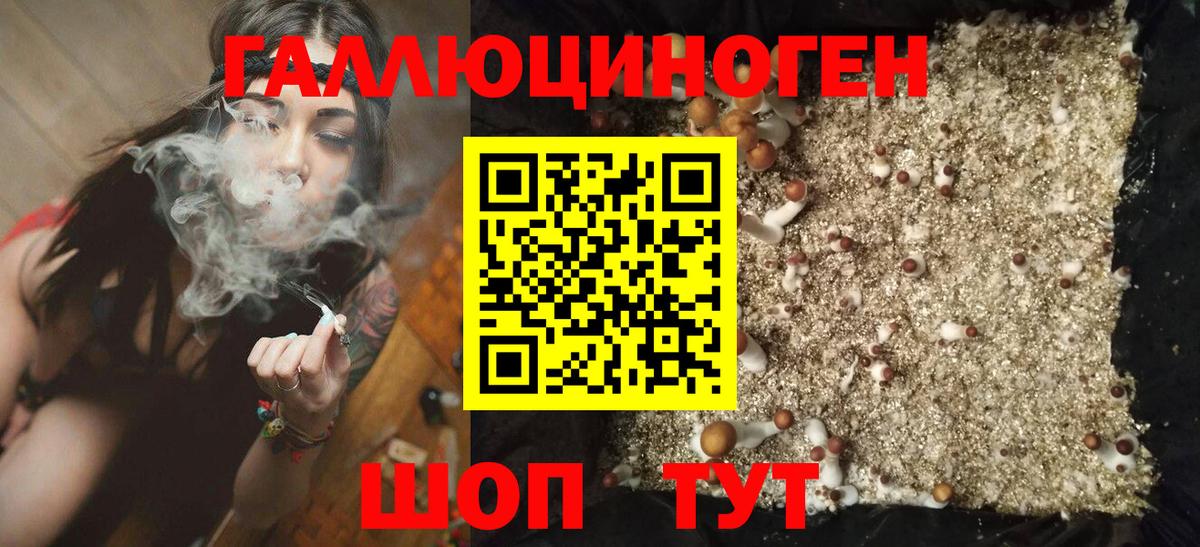 Псилоцибиновые грибы мухоморы Павловский Посад