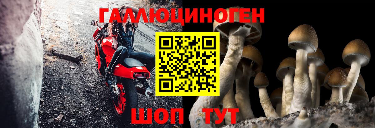 Галлюциногенные грибы Cubensis  Вход с VPN  Павловский Посад 